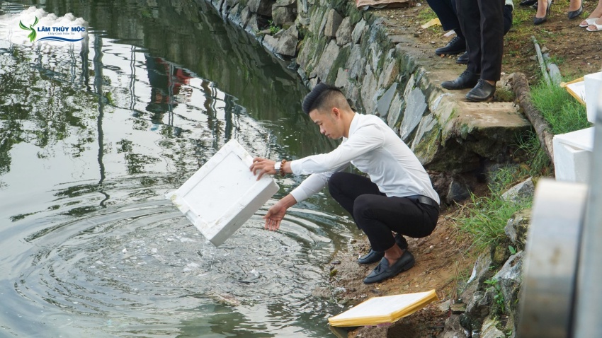 Lâm Thủy Mộc phóng sinh cầu bình an