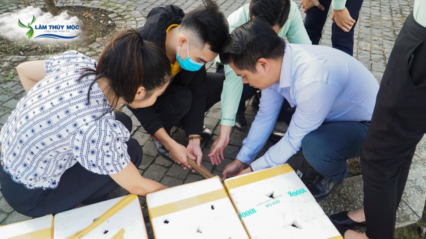 Lâm Thủy Mộc phóng sinh cầu bình an