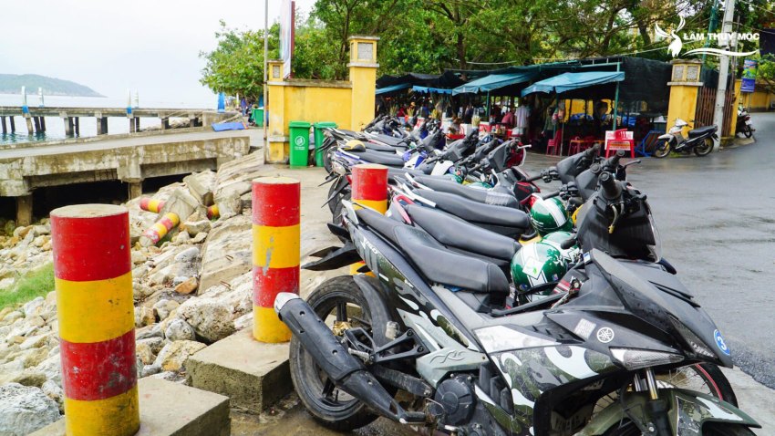 Cùng Lâm Thủy Mộc đi muôn nơi