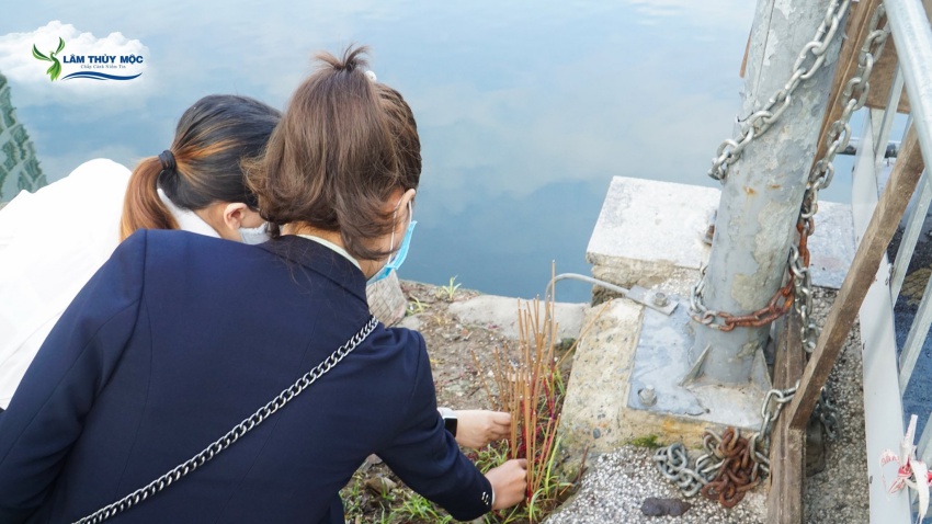 Lâm Thủy Mộc phóng sinh cầu bình an