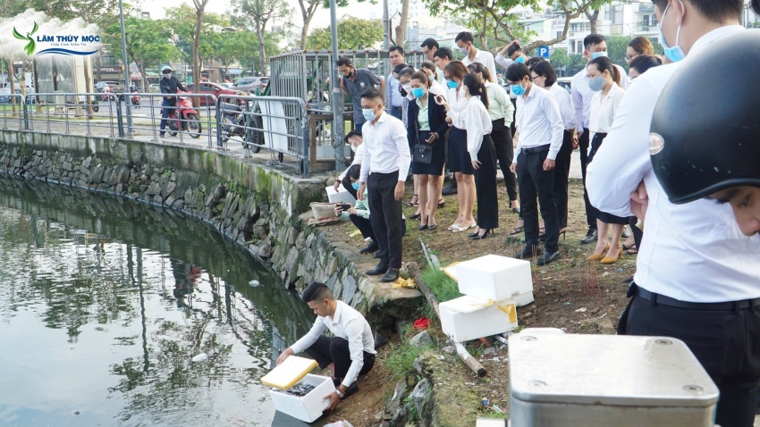 Lâm Thủy Mộc phóng sinh cầu bình an