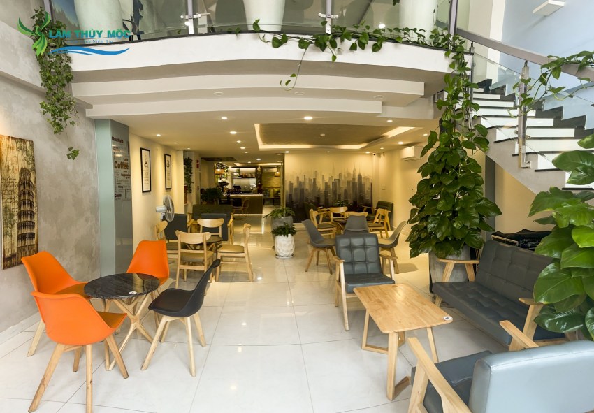 Không gian cafe văn phòng tại Lâm Thủy Mộc