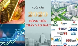 Cuối năm 2020 dòng tiền chảy vào đâu?